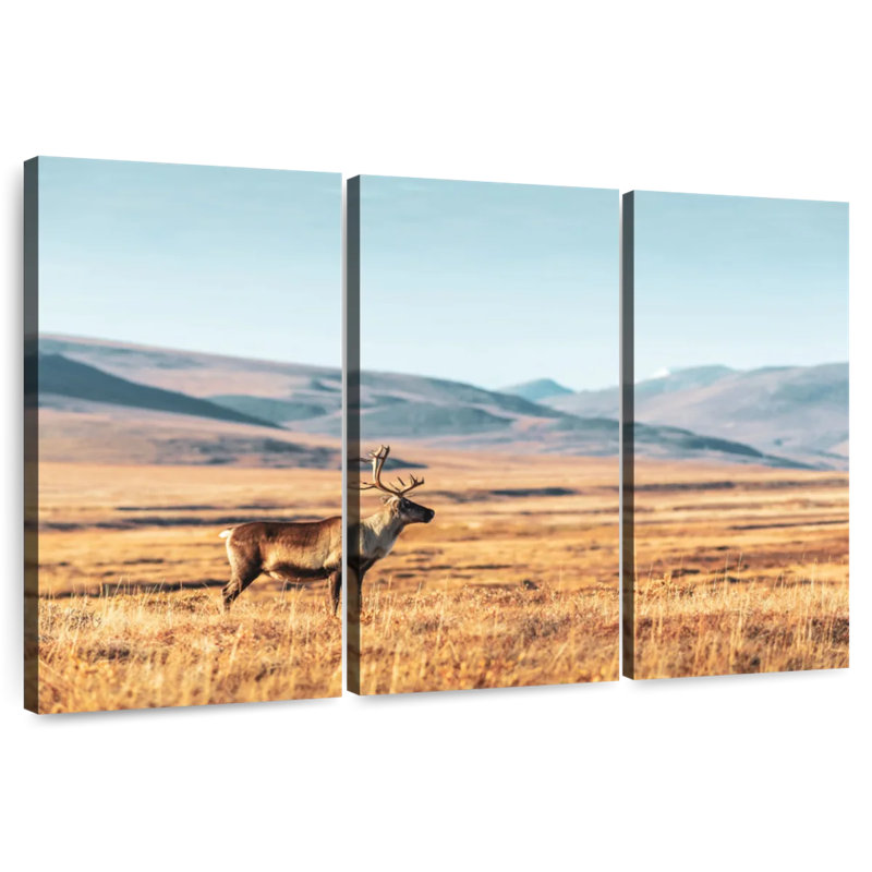 Brampt Lonely Reindeer In Tundra, 28" H x 45" W
