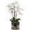 White Orchids - Glass Dish