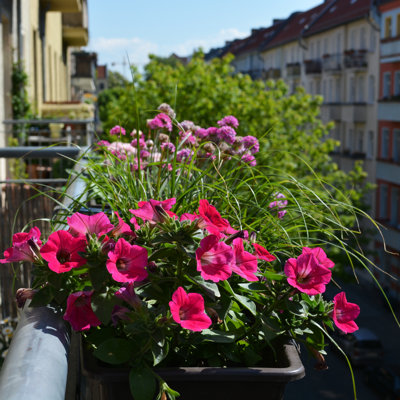 Flowers On The Balcony by Gordongross - Wrapped Canvas Print