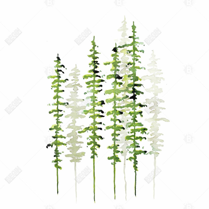 " Slim Trees "