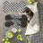 Courtly Check Pet Dish