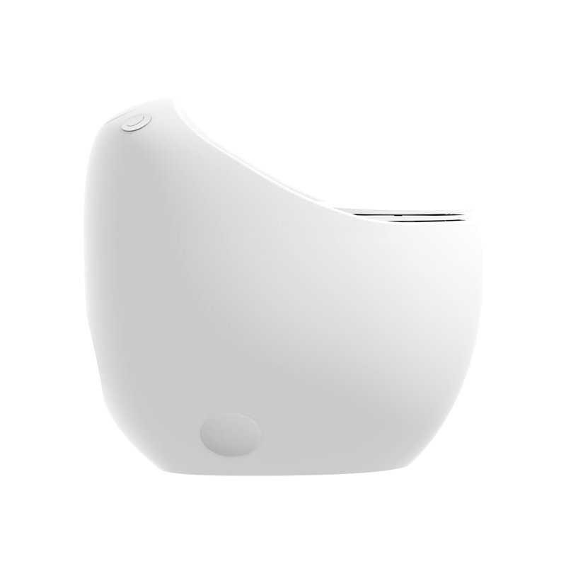Egg Shape Ceramic Toilet In Glossy White - 1.28 Single Flush, Stain, Bathroom White, Modern Artistic Design