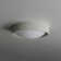 Carran Acrylic LED Flush Mount