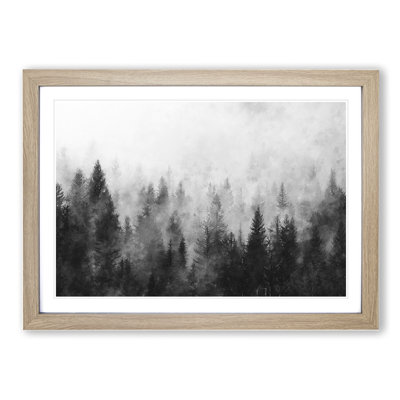 The Misty Forest - Picture Frame Graphic Art