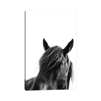 Black Beauty by Kubistika - Wrapped Canvas Print