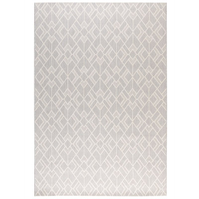 Indoor / Outdoor Area Rug