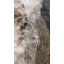 Tapis gris Winkler