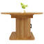 Extendable Dining Table-1801174558
