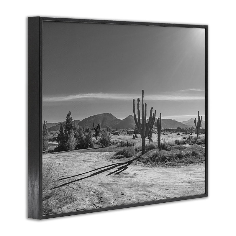 Giclée encadrée par Sun Cactus Valley, design par Norm Stelfox, Giclée encadrée noir minuit, H 24 po x l 30 po