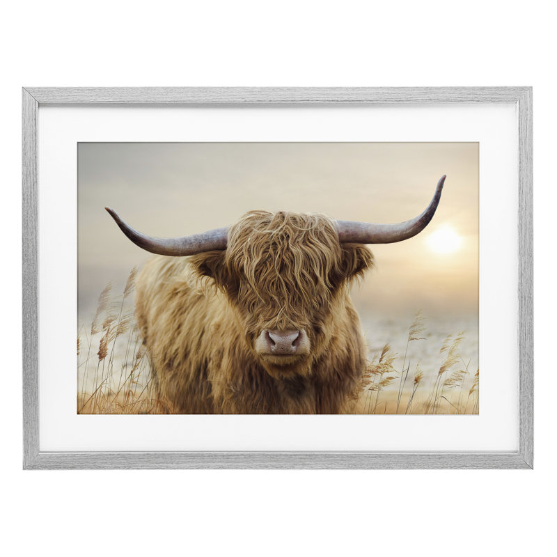 «Highland Cow & Warm Sunset», reproduction encadrée sous verre, conception de CAD Designs, H 14 po x l 20 po