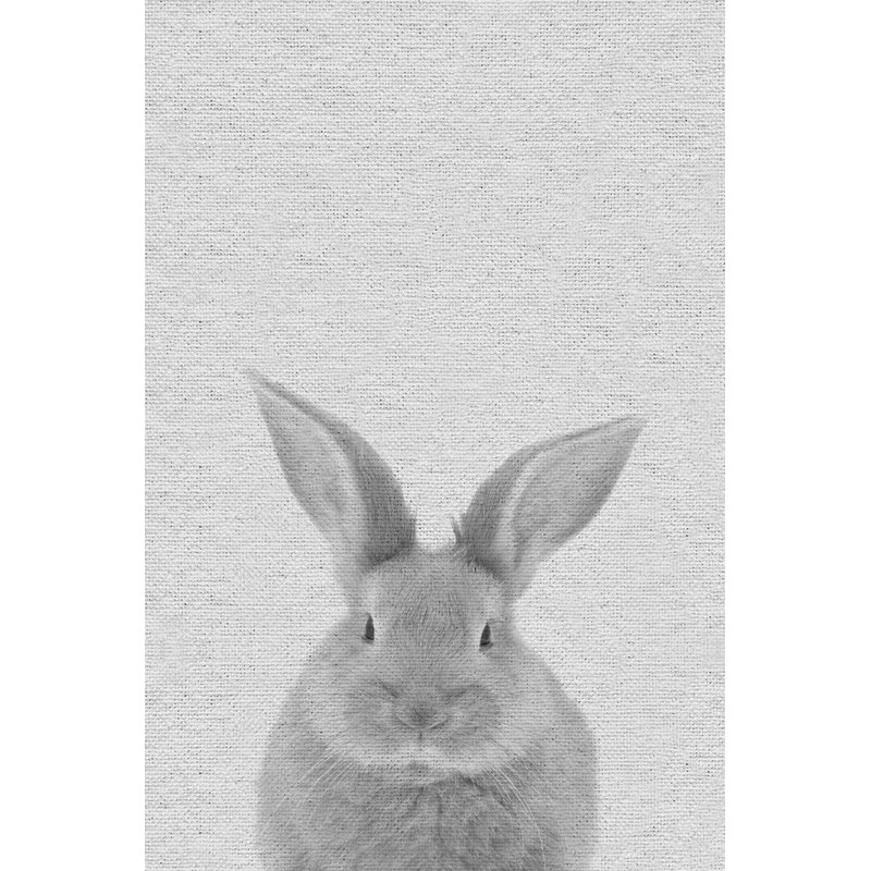Chubby Rabbit - Drawing on Canvas, 76cm H x 51cm W x 4cm D