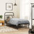August Grove® Metal Bed Frame With Headboard-583643489-555042018