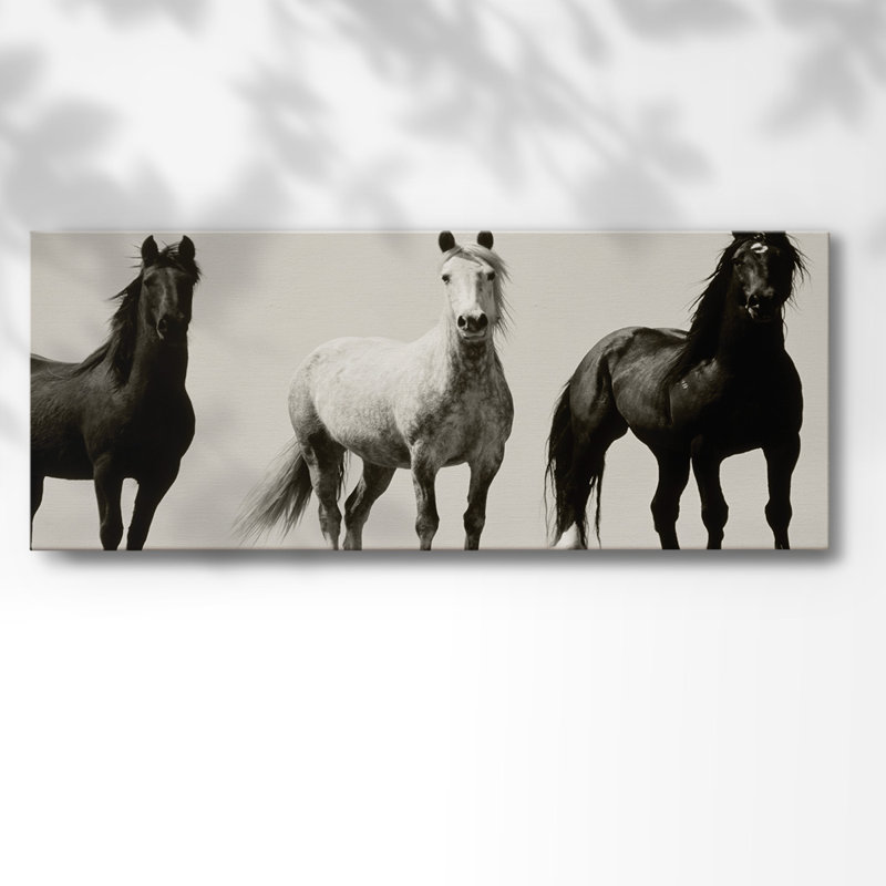 Wild Stallions sur toile, H 20 po x l 50 po x P 1,5 po
