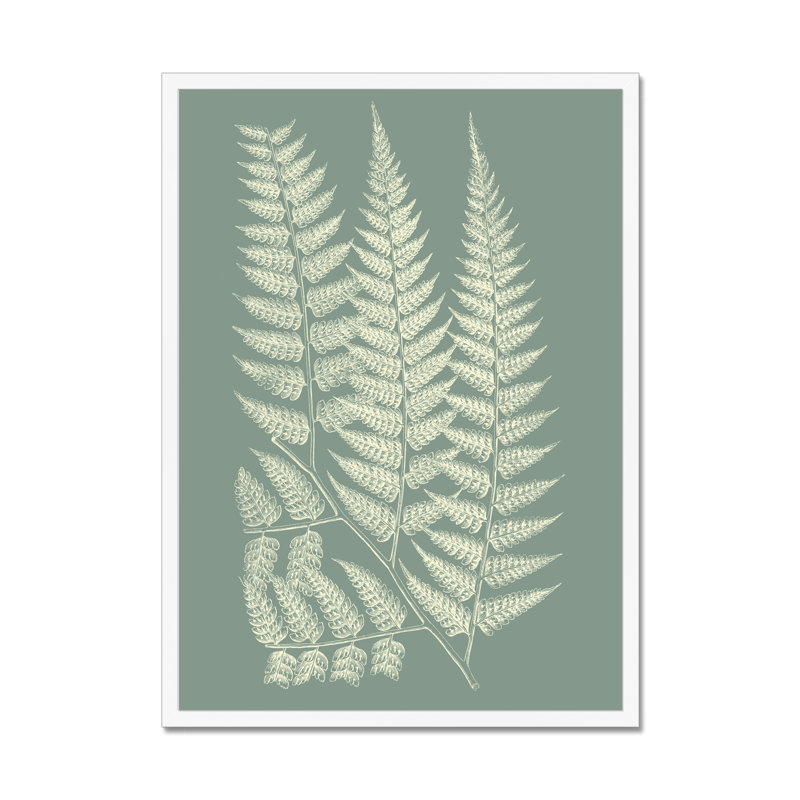 Ferns On Sage III by Vision Studio - Painting on Canvas, 95cm H x 65cm W, White Framed Paper Print