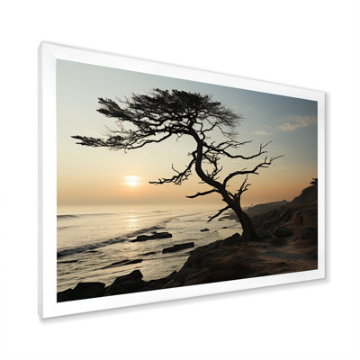 Ambus Tree Beachside Harmony I sur impression sur toile