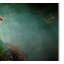 Vidur «Peacock 2», impression sur toile tendue-22073265