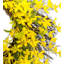 24" Rattan Wreath
