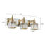 Taevion 3 - Light Dimmable Vanity Light-1106140654
