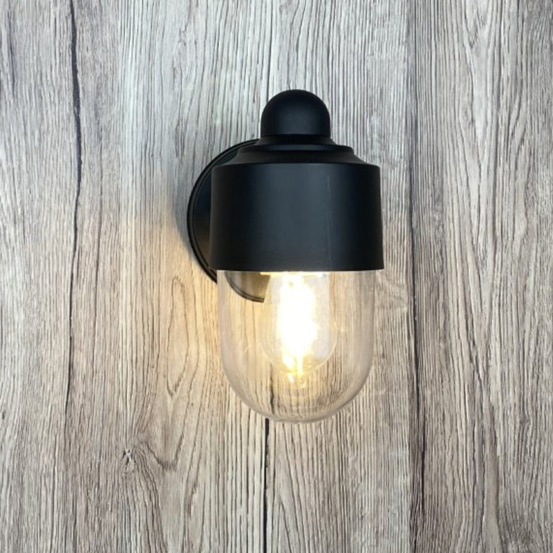 Branon 19cm H Outdoor Wall Lantern