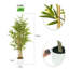 Anilya Faux Bamboo Plant-1266186500
