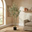 Plant-1480629305