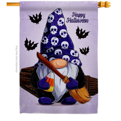 Double Sided 40'' H x 28'' W Polyester House Flag