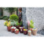 Pot de fleurs en céramique-1563088328
