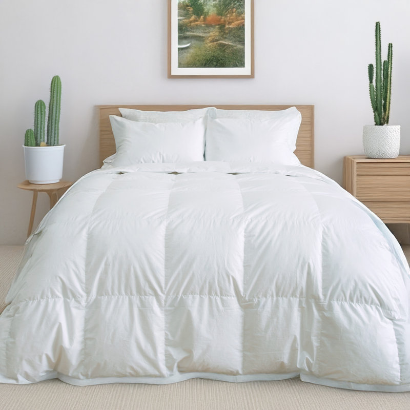 Insert de couette en duvet léger Santa Barbara, Très grand (29 oz)