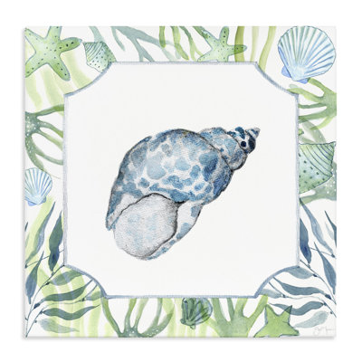 Spotted Cowrie with Seaweed Canvas, design by Janet Tava