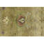 Tapis oriental brun clair à motif floral Osh Chobi Peshawar-147644712