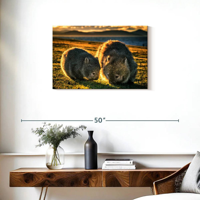 Brampt Wombats In The Field