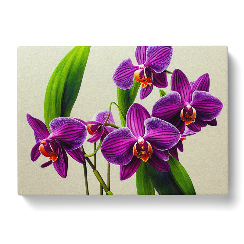 Intriguing Orchid Flowers - Wrapped Canvas, 35cm H x 50cm W x 3cm D