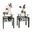 2-Piece Modern Tempered Glass Tea Table Set – Transparent/Black Square