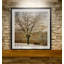 «Lonely Tree in Sun», reproduction de cadre photo sur papier-1155898134