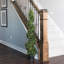 Arbre en spirale de buis vert Wolfdale-20583854