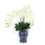 Orchid Arrangement In A Ceramic Vase With Leaves