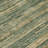 Machine Washable Indoor/Outdoor Xhevrie Fern Rug-970608467