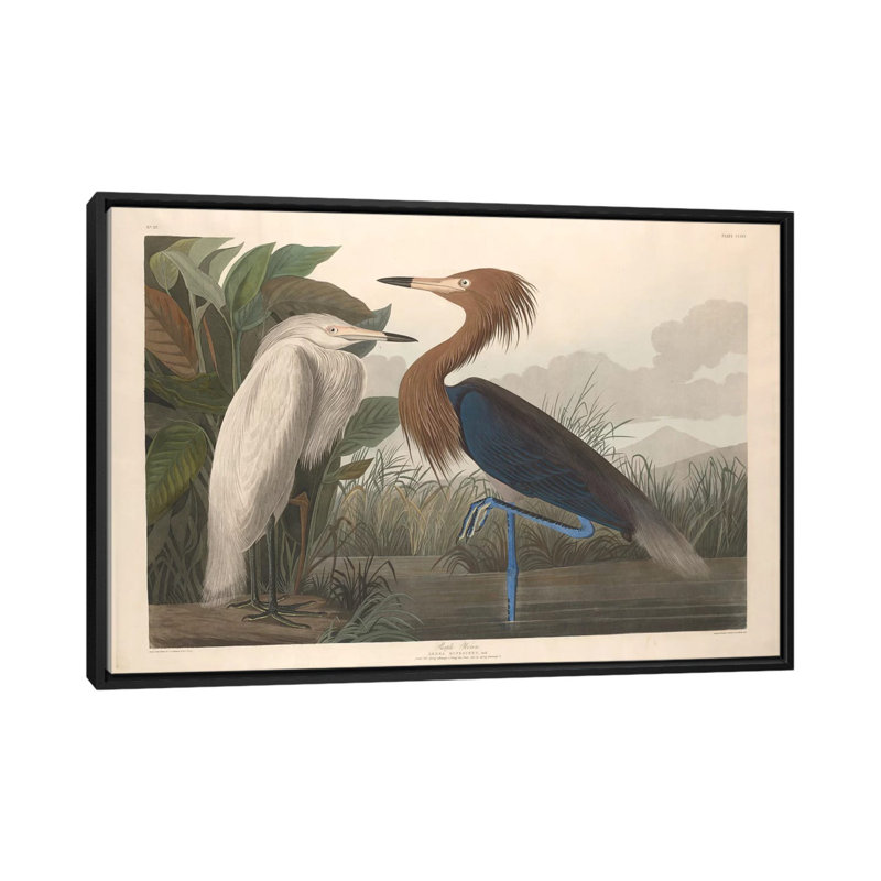 « héron », impression sur toile, H 18 po x l 26 po x P 1,5 po, Toile avec cadre noir, Pas de tapis