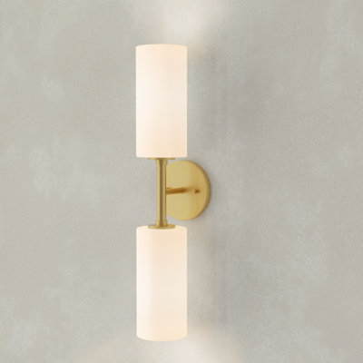 Ayaka Steel Armed Sconce