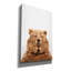 "Bear" par Tai Prints, Canvas Wall Art "par Tai Prints-40656119