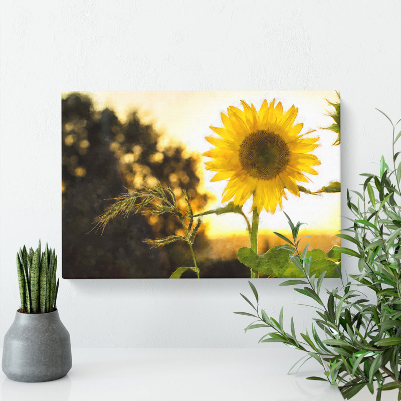 Sunflower Vol.2 - Wrapped Canvas Print, 35cm H x 60cm W x 3cm D