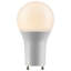 10 Watt LED Bulb-25628281