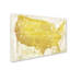 «American Dream II» par Jadaya, impression sur toile tendue-20506872