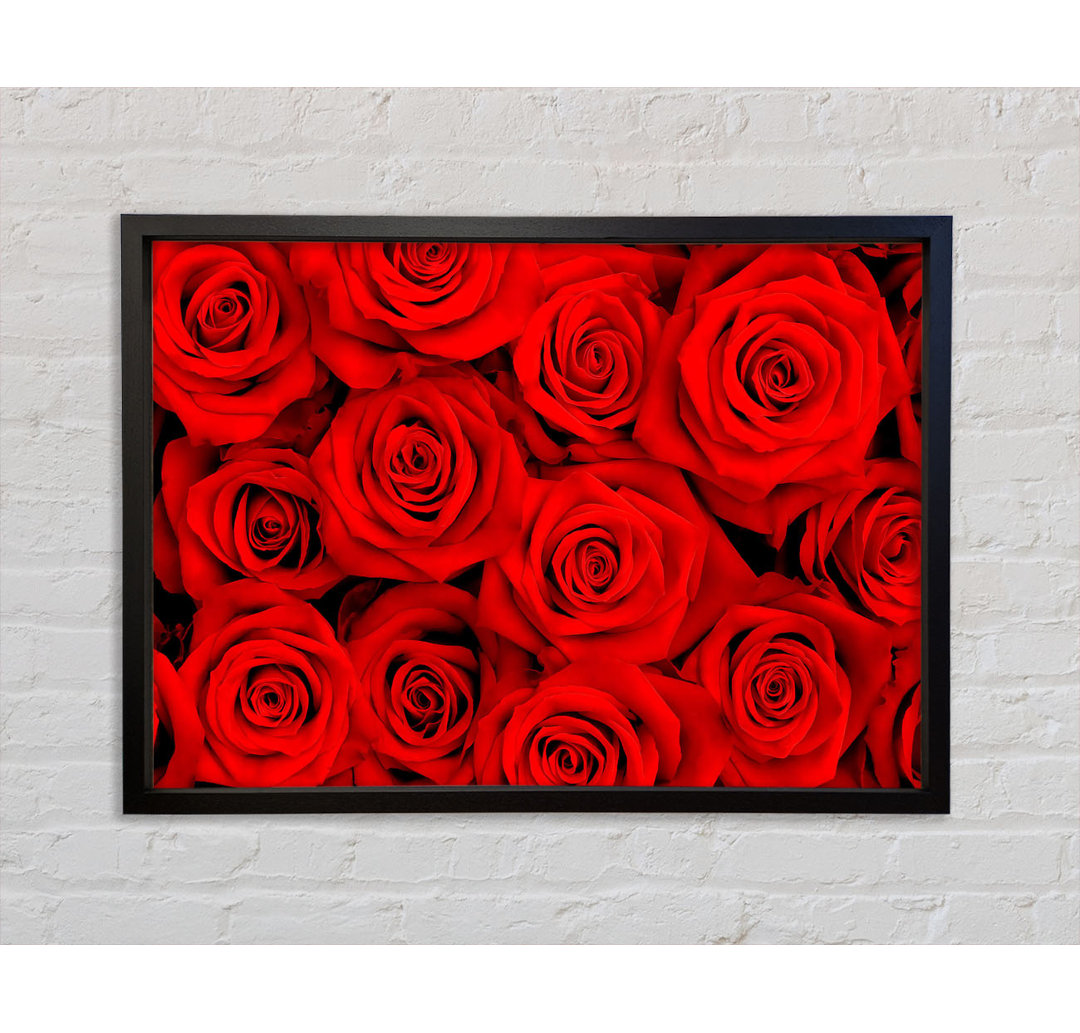 Lovely Roses For The One I Love - Einzelne Bilderrahmen Kunstdrucke auf Leinwand