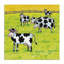 Drôle de troupeau de vaches avec toile, par Roger Straub-620643396
