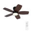 Ventilateur de plafond standard à DEL 5 pales 32 "avec télécommande et ensemble d'éclairage pour le salon