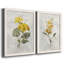Canari lin géranium - ensemble de 2 reproductions d'art-755692023-755692019-755691911