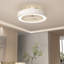 Ceiling Fan with LED Lights