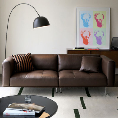 Genuine Leather Standard Sofa cushion couch