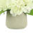 Polysilk Hydrangea Arrangement in Pot